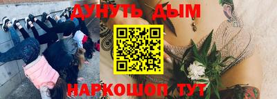 трава Заводоуковск