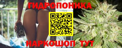 хмурый Жуковский