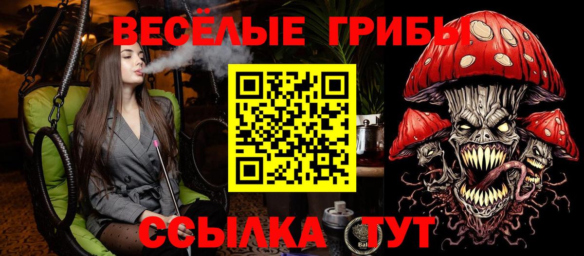 Галлюциногенные грибы Cubensis  магазин продажи   Луга  Вход с VPN 